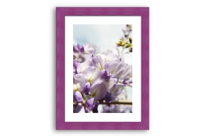 Comprar molduras para posters | Exemplo de quadro feito da moldura violeta de 4.3 cm