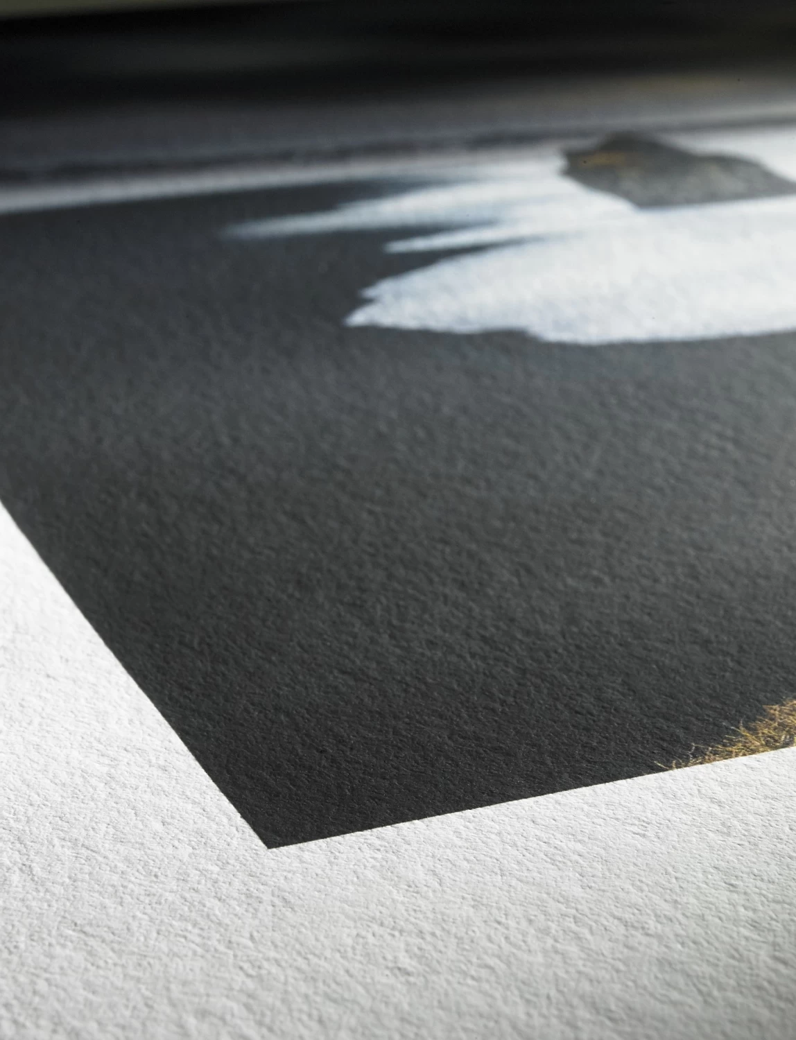 Hahnemühle Photo Rag Bright White - Impressão Giclée em Papel FineArt